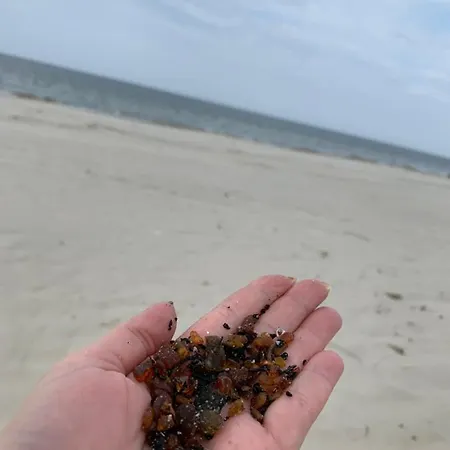 Jantarowe Zacisze Blue Lägenhet