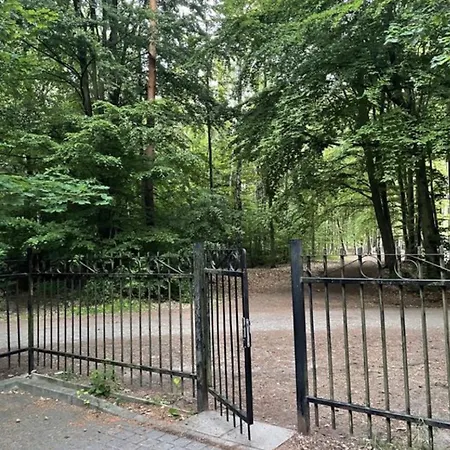 Jantarowe Zacisze Blue *