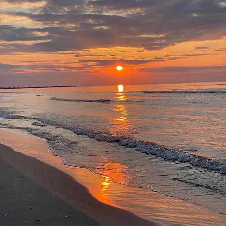 Jantarowe Zacisze Blue アパート *