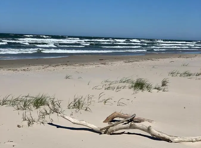 Апартаменты Jantarowe Zacisze Blue