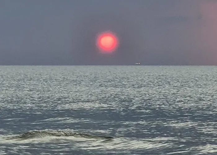 Jantarowe Zacisze Blue * Янтар