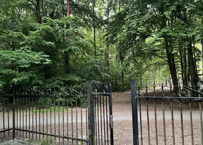 Jantarowe Zacisze Blue *